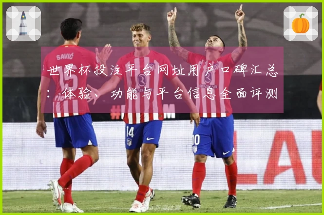 世界杯投注平台网址用户口碑汇总：体验、功能与平台信息全面评测
