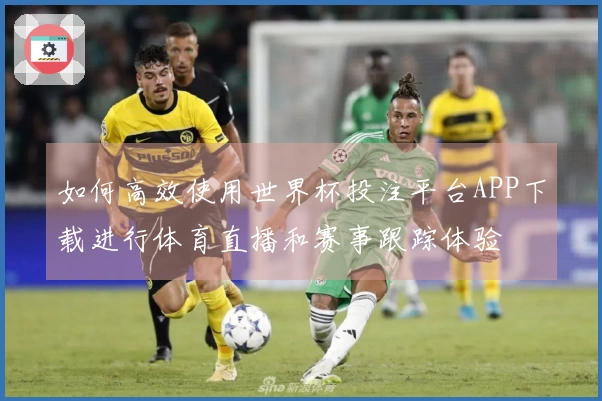 如何高效使用世界杯投注平台APP下载进行体育直播和赛事跟踪体验