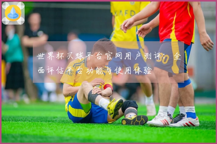 世界杯买球平台官网用户测评：全面评估平台功能与使用体验