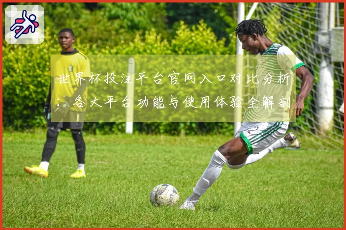世界杯投注平台官网入口对比分析：各大平台功能与使用体验全解剖