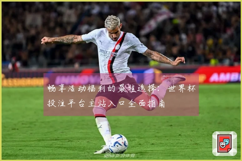 畅享活动福利的最佳选择：世界杯投注平台主站入口全面指南