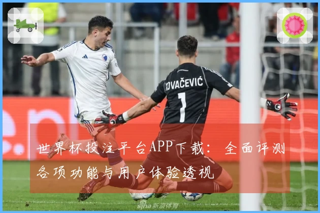 世界杯投注平台APP下载：全面评测各项功能与用户体验透视