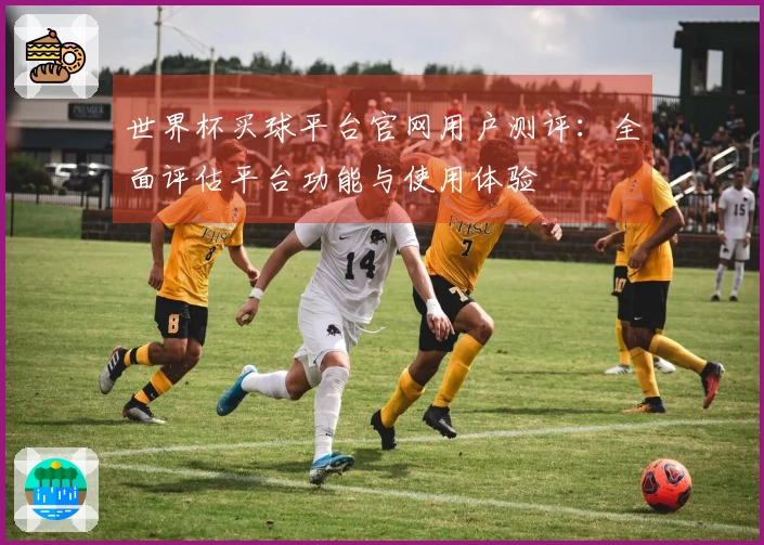 世界杯买球平台官网用户测评：全面评估平台功能与使用体验
