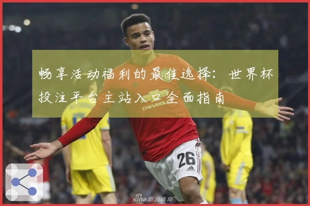 畅享活动福利的最佳选择：世界杯投注平台主站入口全面指南