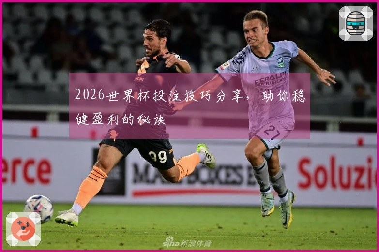 2026世界杯投注技巧分享，助你稳健盈利的秘诀