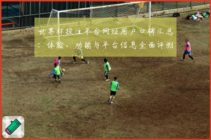 世界杯投注平台网址用户口碑汇总：体验、功能与平台信息全面评测