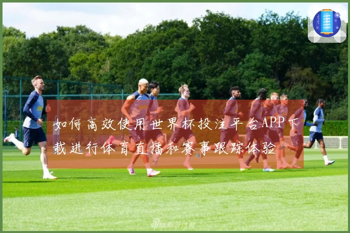 如何高效使用世界杯投注平台APP下载进行体育直播和赛事跟踪体验
