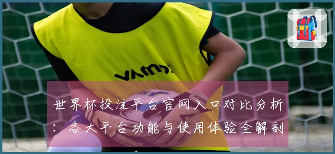 世界杯投注平台官网入口对比分析:各大平台功能与使用体验全解剖